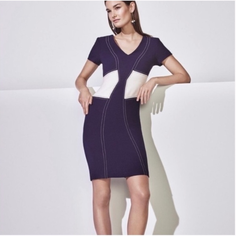 Ann Taylor Navy Dress